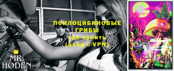трава Богородицк