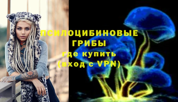 трава Богородицк