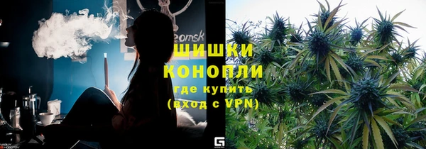 гашик Богородск