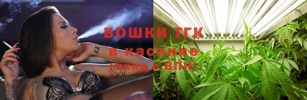 гашик Богородск