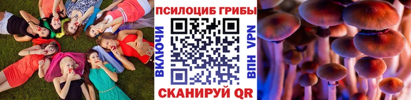 где продают наркотики  Нижневартовск  Галлюциногенные грибы прущие грибы 